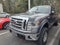2013 Ford F-150 Platinum