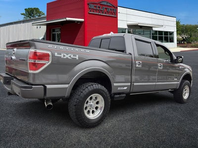 2013 Ford F-150 Platinum