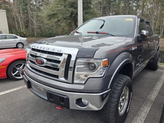 2013 Ford F-150 Platinum