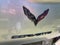 2016 Chevrolet Corvette Stingray 2LT